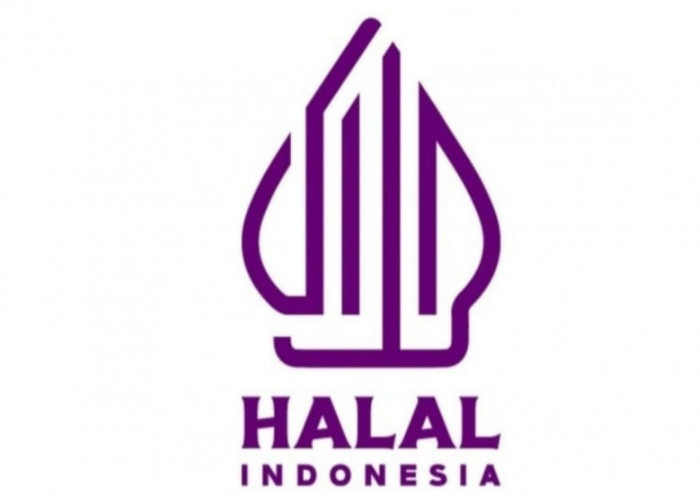 Warning, 3 Kelompok Produk Ini Harus Bersertfikat Halal, Sanksinya Barang Bisa Ditarik dari Peredaran