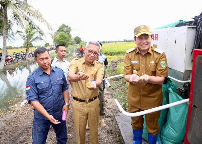 Menko Pangan dan Pj Gubernur Sumsel Panen Raya di Desa Sri Menanti, Banyuasin