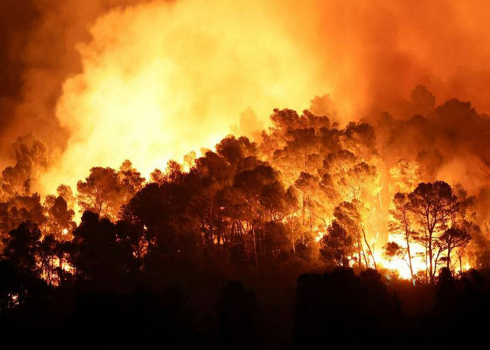 90 Hektare Hutan di Prancis Terbakar, 20 KK Dievakuasi