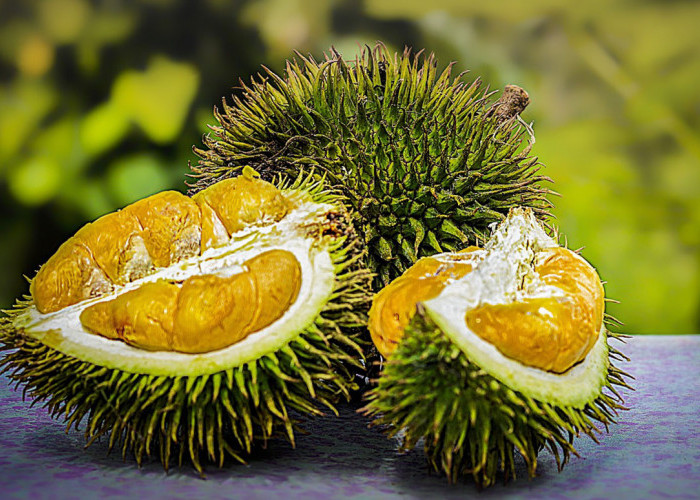 WOW! Ini Manfaat Biji Durian Bagi Kesehatan, Nomor 1 Ibu-ibu Wajib Tahu, Ingat Jangan Makan Mentah