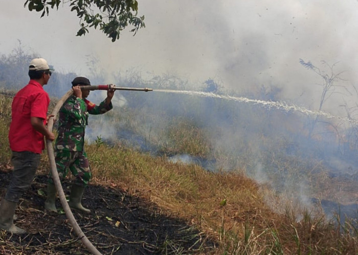 Pantang Menyerah, Babinsa Pedamaran Kendalikan Karhutla di Pedamaran OKI
