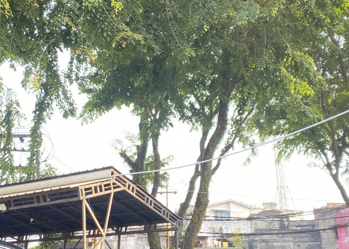 Prakiraan Cuaca Palembang 19 Juli 2026, Warga Diminta Waspadai Perubahan Cuaca Palembang, 19 Juli 2026