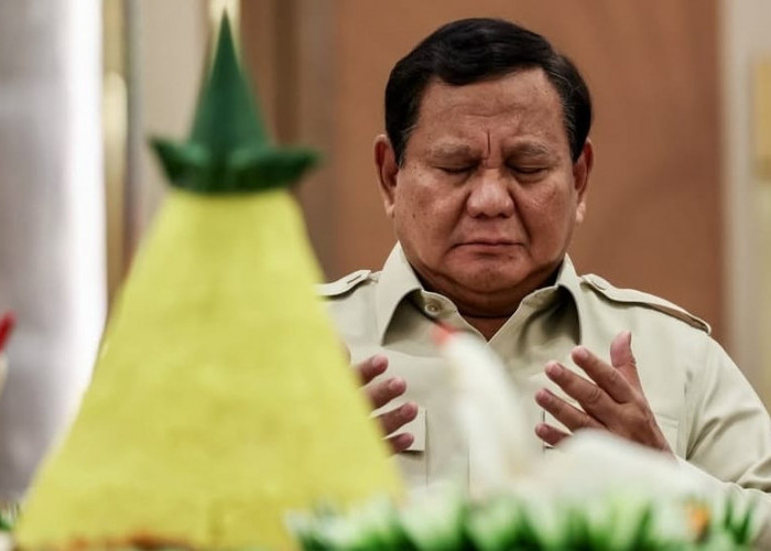 Siapa Pelaku Kecurangan Beras Disebut Presiden Sebagai Vampir Ekonomi? Ini Daftar Purusahaan yang Diperiksa