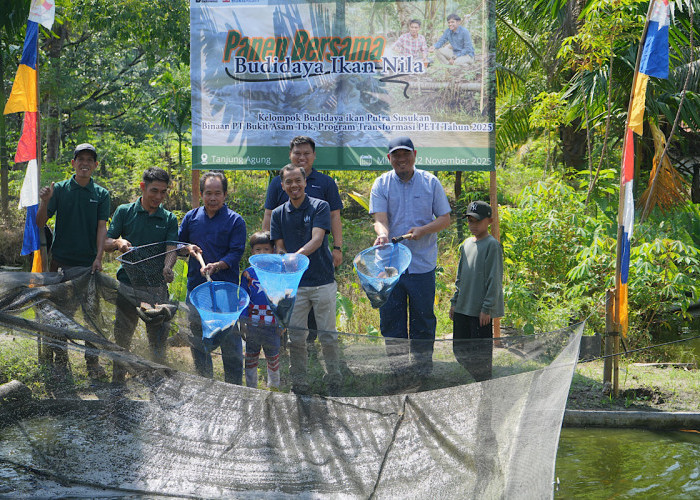 Transformasi PETI melalui Panen Bersama Budidaya Ikan Nila di Desa Tanjung Agung