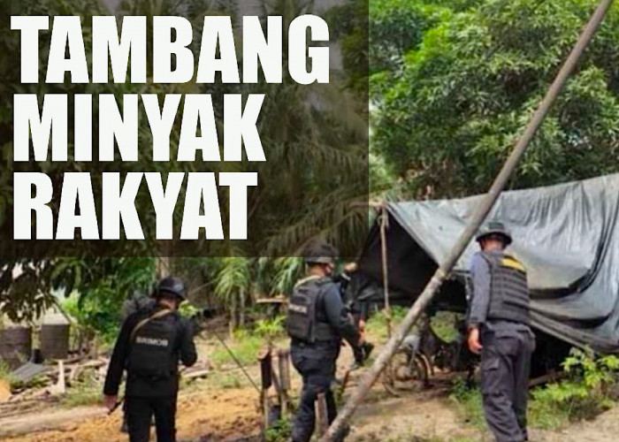 Ini Syarat Tambang Ilegal Jadi Resmi dan Minyak Bisa Diserap Negara Melalui K3S