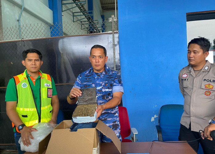 Paket Ganja Tak Bertuan Dicampur Baju Gagal Keluar Terminal Kargo Bandara SMB II Palembang