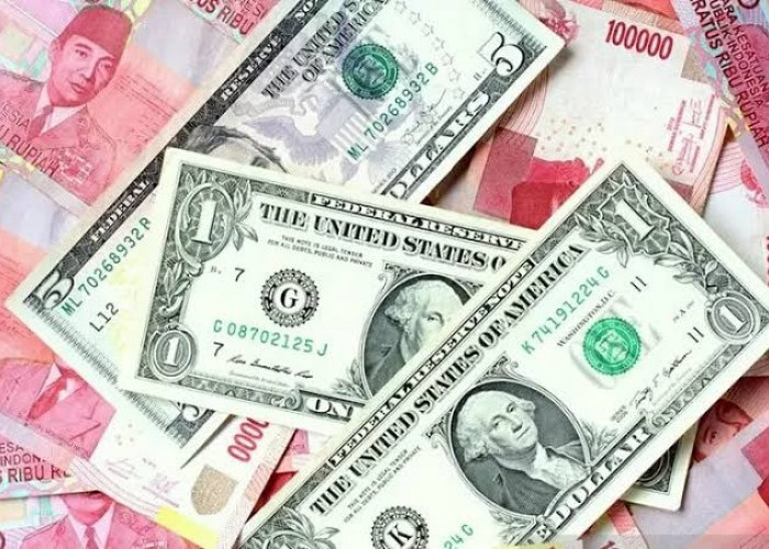 Mari Cek Valas, Update Kurs Rupiah Dollar,  Senin 19 Juni 2023