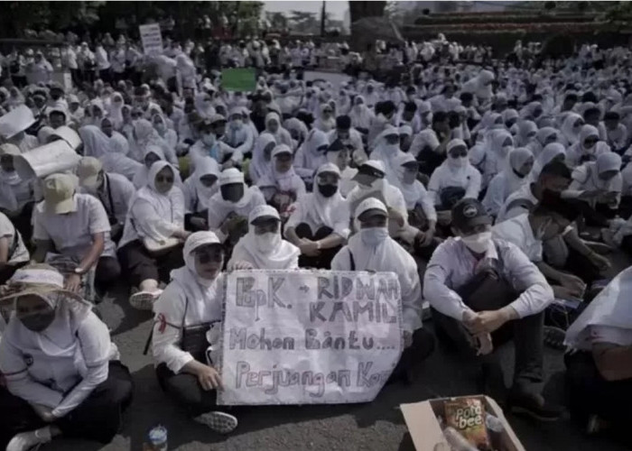 31 Desember Batas Akhir Pendaftaran PPPK: Bagaimana Nasib Tenaga Honorer Selanjutnya?