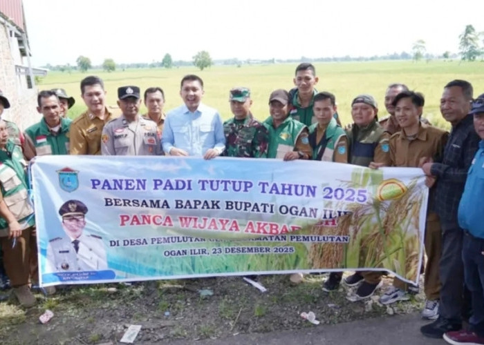 Bupati Ogan Ilir Hadiri Panen Tutup Tahun 2025, Komitmen Dukung Ketahanan Pangan & Modernisasi Pertanian