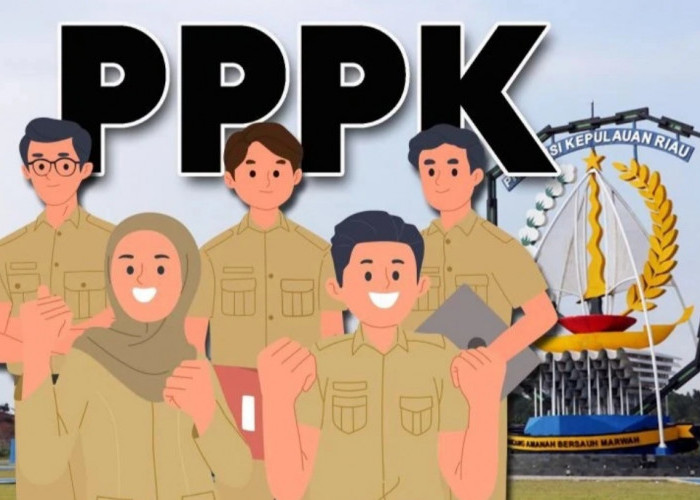 Horee! PPPK Paruh Waktu Terima Tunjangan Transportasi Ini Syaratnya