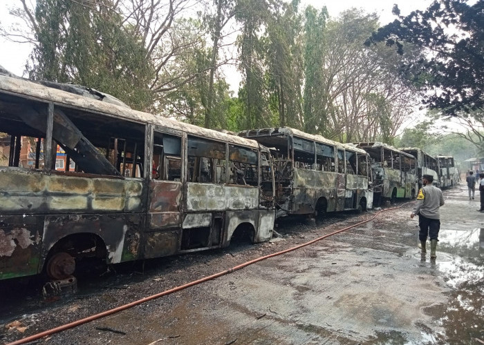 12 Bus Bangkai Trans Musi Hangus Terbakar di Kawasan Terminal Alang-Alang Lebar Palembang