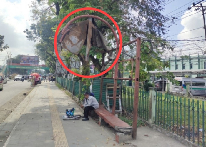 Keluhkan Halte Rusak Parah di Jalan Ahmad Yani Palembang, Atap Seng Menjuntai Ancam Keselamatan Pengguna