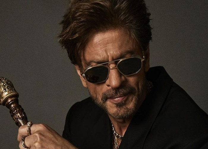Shah Rukh Khan Belum Tergoyahkan dari Aktor Bollywood Terkaya India, ini Peringkatnya 