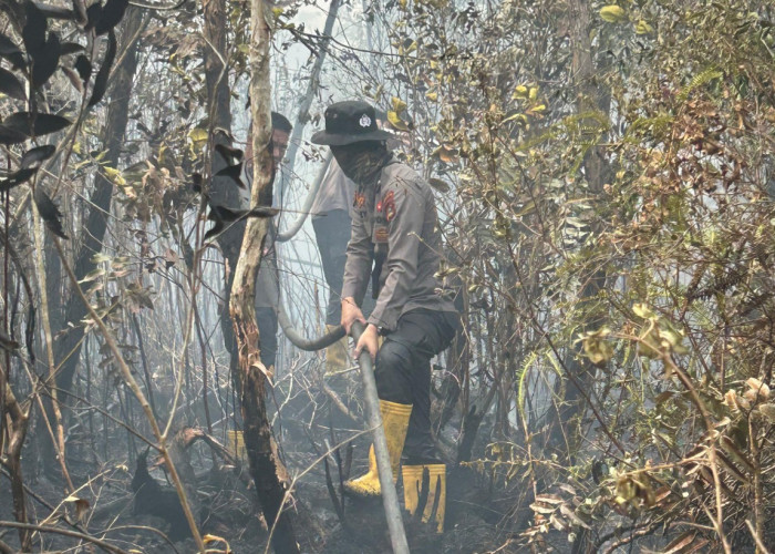 Hadapi Lahan Gambut, Subsatgas Posko Tulung Selapan Intensifkan Pemadaman Karhutla