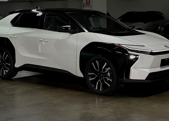 Mengapa Mobil Listrik Jarang Terlihat di Jepang, Padahal Charging Station Ditarget 300 Ribu Titik  