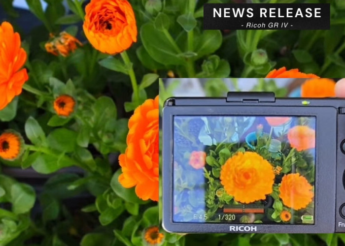Legend is Back, Ricoh GR IV Kamera Saku Minimalis dengan Autofokus Hybrid dan Stabilisasi 5-Sumbu