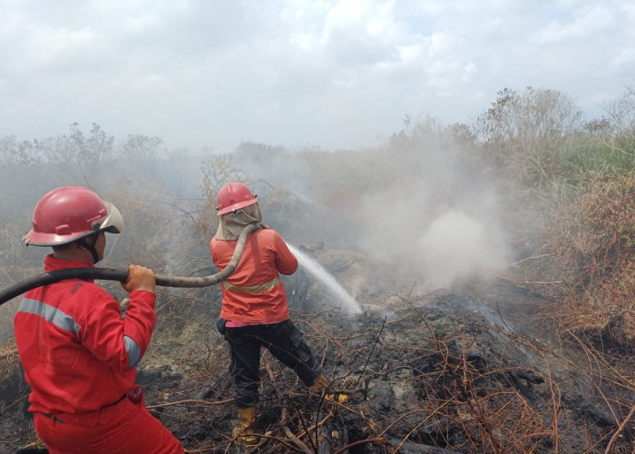 Manggala Agni OKI Terus Patroli Pencegahan Karhutla Khusus Wilayah Gambut yang Rawan Terbakar