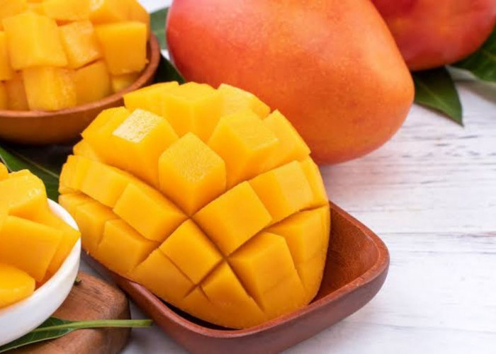 5 Rekomendasi Buah Mangga dengan Cita Rasa Manis yang Menggugah Selera
