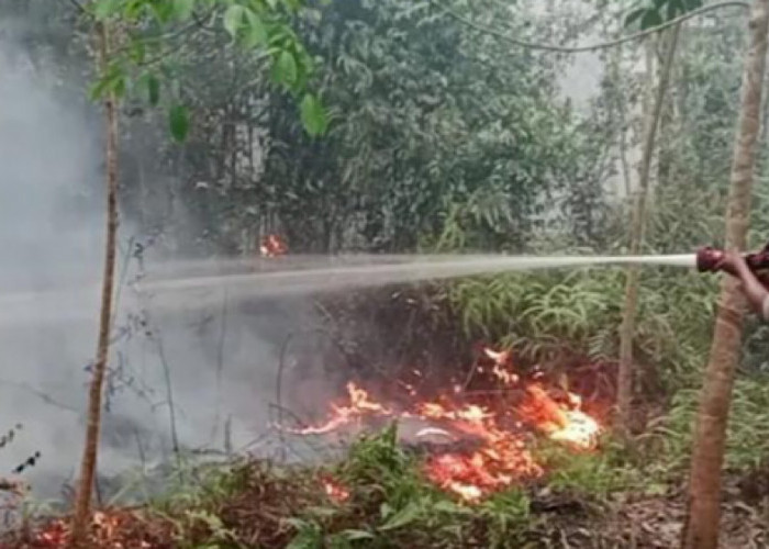 Karhutla Capai 60 Hektare, Suplai 9.000 Liter Air Dikerahkan