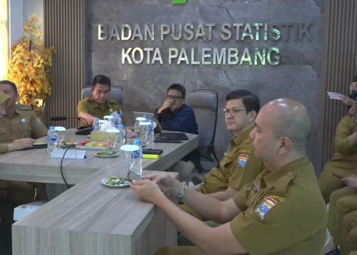 BPS Palembang Sebut Diskon Tarif Listrik Pengaruhi Deflasi yang Cukup Besar