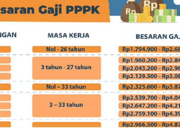Horee! Tenaga Honorer yang Diangkat PPPK Akan Nikmati Gaji Baru Sesuai Perpres No 11 Tahun 2024