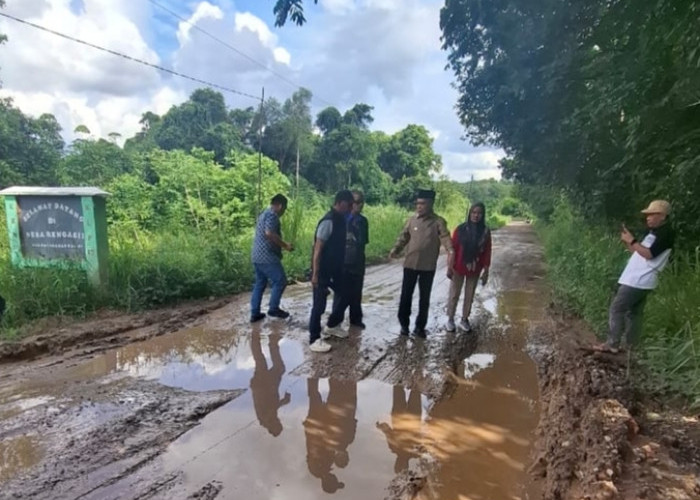 Wabup Ogan Ilir Tinjau Jalan Rusak yang Viral di Rengas Payaraman, Pastikan Segera Ditanggulangi