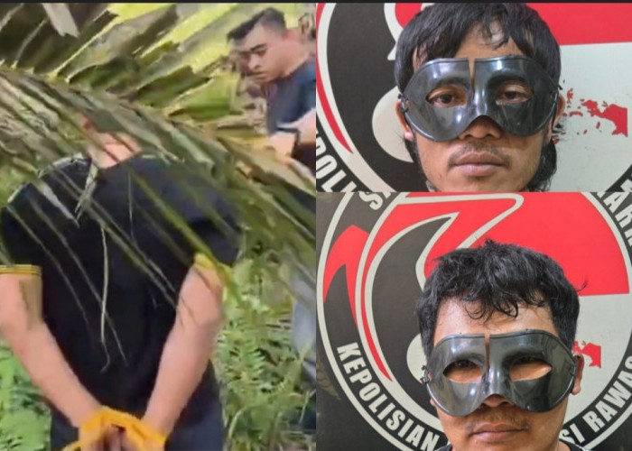 Polisi Gerebek Kebun Sawit di Musi Rawas, Dua Terduga Pengedar Sabu Diamankan