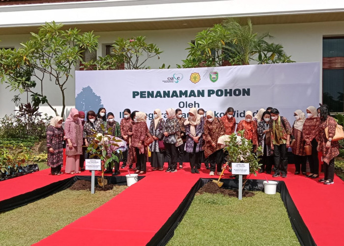 Iriana Jokowi Tiba di Griya Agung Palembang, Saksikan Proses Pembuatan Tenun Songket dan Tanam Pohon Manggis