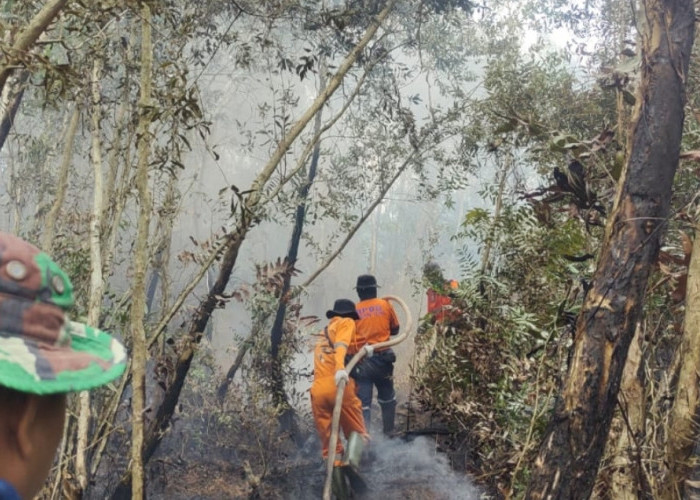 Karhutla di Kabupaten Ogan Ilir, 87 Hektare Lebih Lahan Sudah Terbakar, Pekan Pertama Agustus Capai 41 Kali