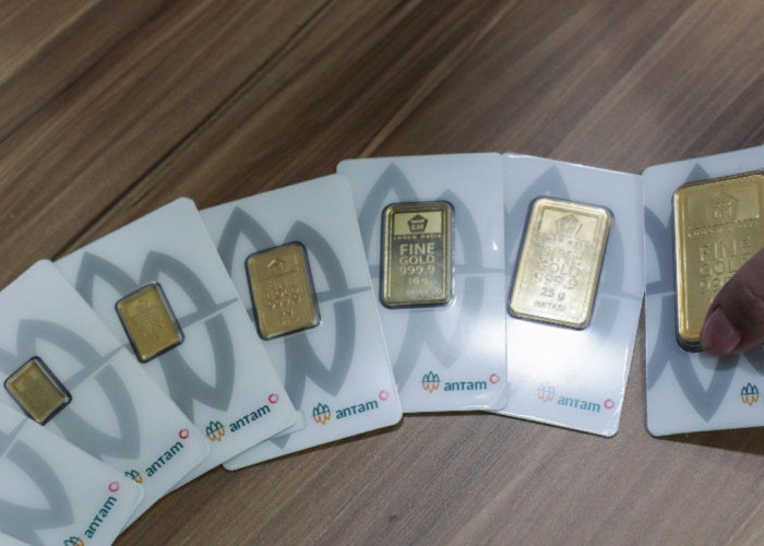 Update Harga Emas Antam 19 Juni 2026: Daftar Lengkap dari 0,5 Gram hingga 1 Kg