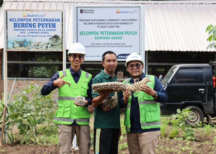 Program Desa Impian Antarkan PTBA Raih Penghargaan Internasional