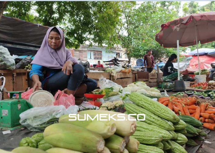 Sembako di Palembang Normal PascaNataru 2023, Harga Daging Turun