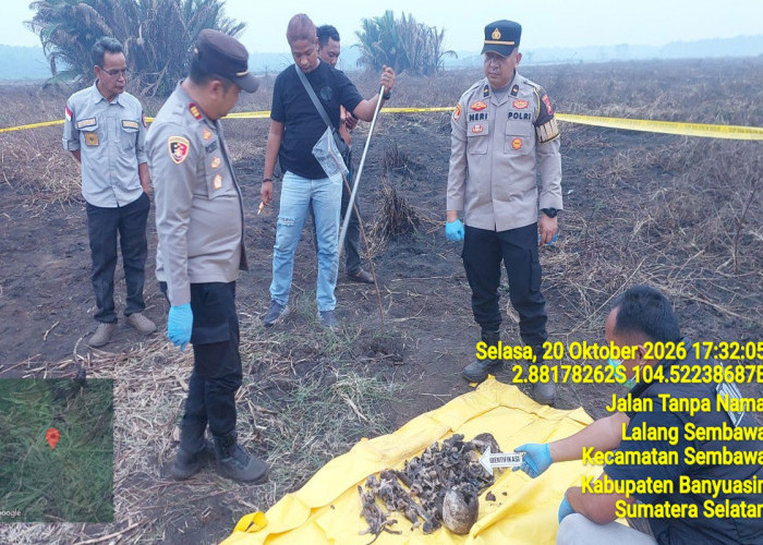 Benda Mirip Tengkorak Manusia Ditemukan di Lokasi Karhutla
