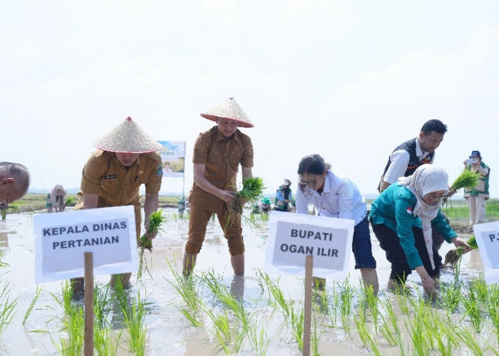 Bupati Ogan Ilir Pimpin Gerakan Tanam Padi Menyongsong Tantangan Iklim El Nino Nasional