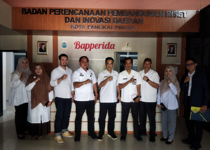 Nanas Tuatunu Berpeluang Jadi Produk Unggulan,  Berstatus Indikasi Geografis