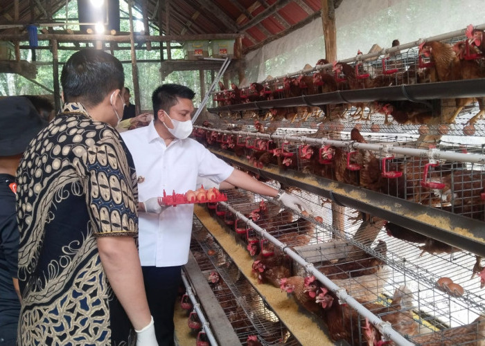 Perkuat Rantai Ekonomi Desa, Bupati Ogan Ilir Dorong SPPG Kerjasama dengan BUMDes untuk Suplai Bahan Baku