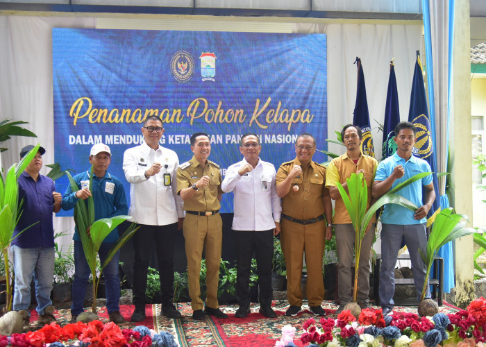 Tanam Bibit Pohon Kelapa Serentak, Wali Kota Ratu Dewa Sukseskan Program Nasional