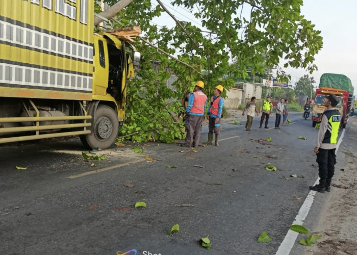 Pohon Tumbang Timpa Fuso, Personel Polsek Tanjung Raja Ogan Ilir Sigap Amankan Lalu Lintas di Jalintim