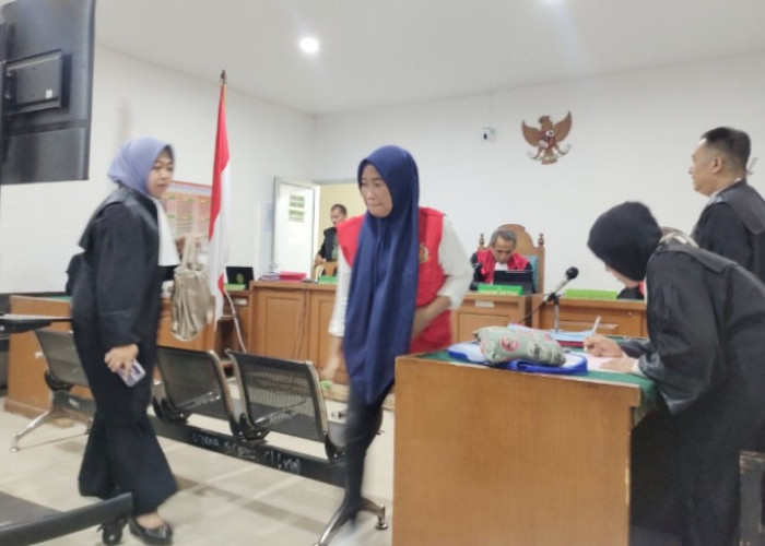 Baby Sitter di Palembang Didakwa Mencuri Kalung Emas Milik Anak Majikan, Begini Modusnya