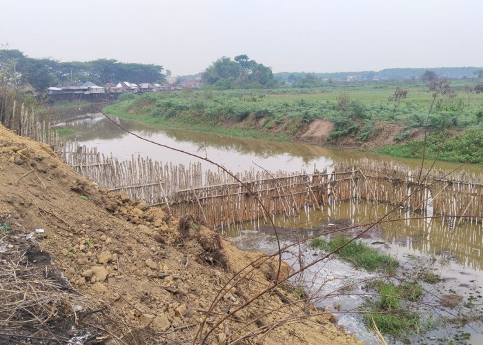 Pemkab Ogan Ilir Resmi Layangkan Surat Pemanggilan Oknum Penimbun Aliran Sungai di Desa Beti