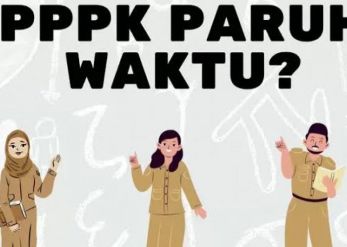 MenPAN RB Putuskan PPPK Paruh Waktu Dapatkan Beberapa Hak, Tenaga Honorer Dihapuskan 2025