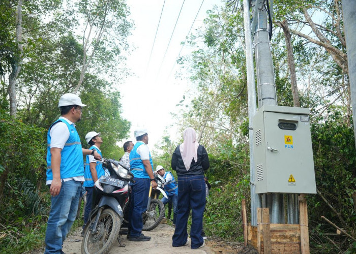 Jalankan Amanat Pemerintah, PLN Kawal Tuntas Pembangunan Infrastruktur Kelistrikan Desa Pedamaran Kabupaten OK