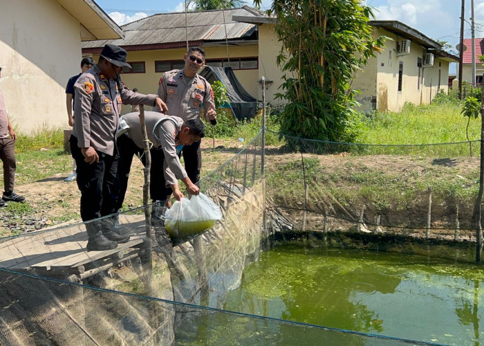 Polsek Pemulutan Ogan Ilir Dukung Program Ketahanan Pangan Melalui Penebaran Benih Ikan