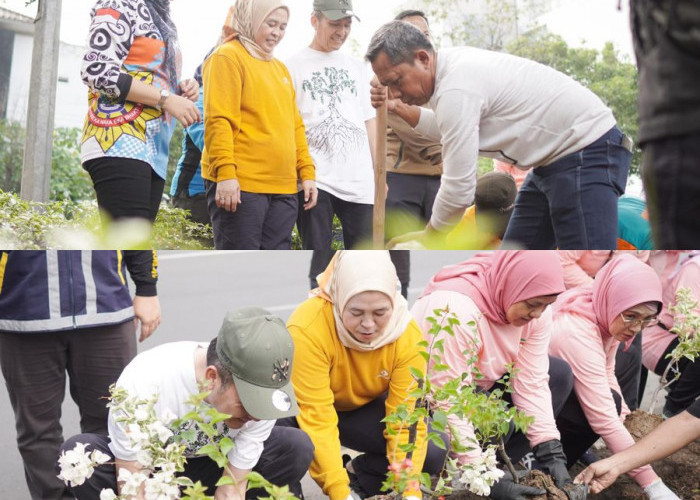 Bikin Kota Palembang Tambah Cantik dan Estetik, Pj Wako Ratu Dewa Gerakkan Tanam Bunga
