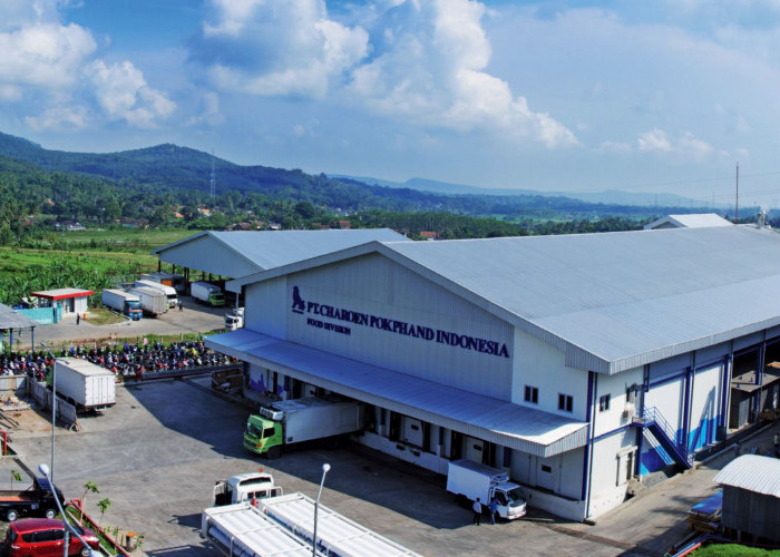 Hasil Penelitian Terbaru, Satgas CS-137 Akui Tak Ada Paparan Cesium di RPHU CPI