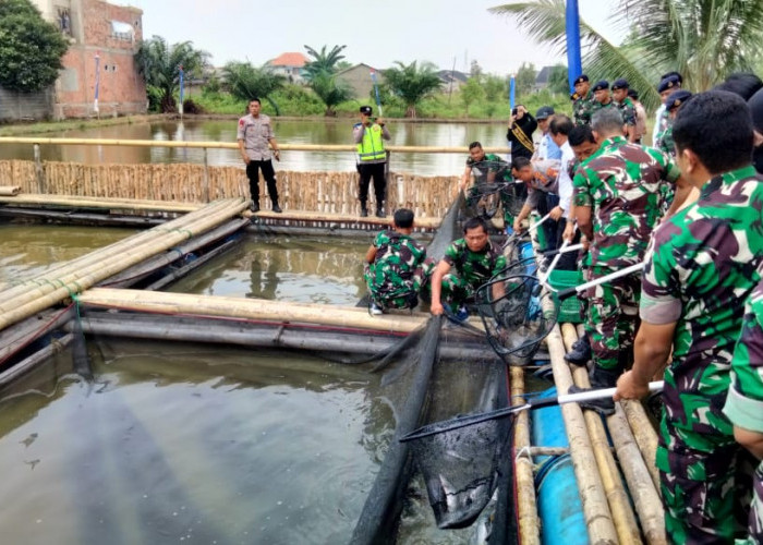  Pangkalan TNI AL Palembang Tabur Ribuan Ikan Lele dan Nila Merah