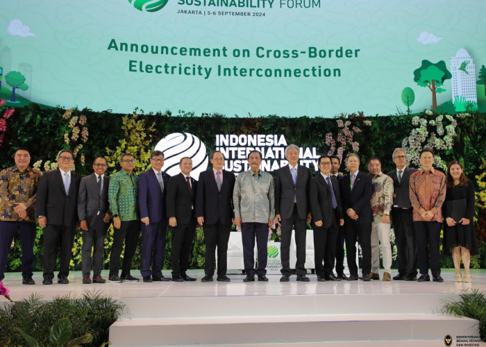 Indonesia Dorong Listrik ASEAN Terhubung, Benarkah Tarif Rumah Tangga Bisa Lebih Murah?