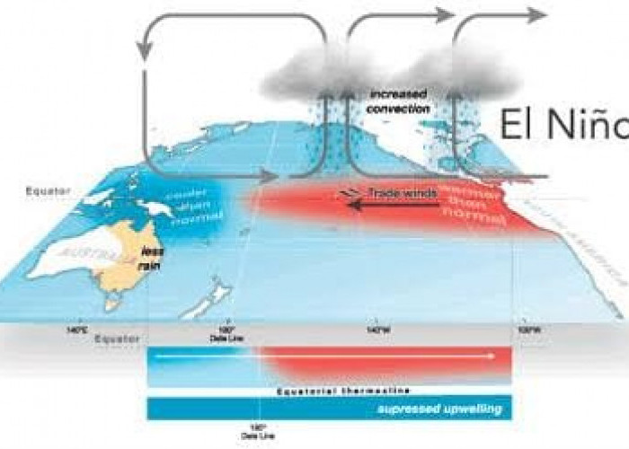 Faktor Pengendali Cuaca Bukan Hanya El Nino atau La Nina, Simak Penjelasannya