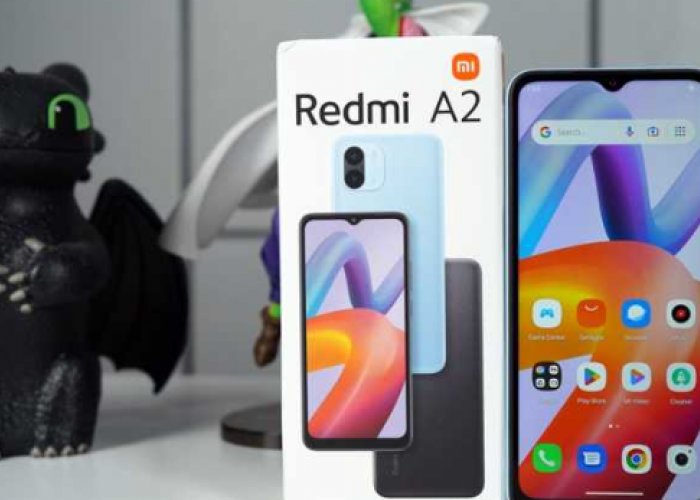HP Murah Tapi Bukan Murahan Bang! Dibawa Kerja Digital, Cuan Mengalir di Tengah Gelombang Efisiensi 2025