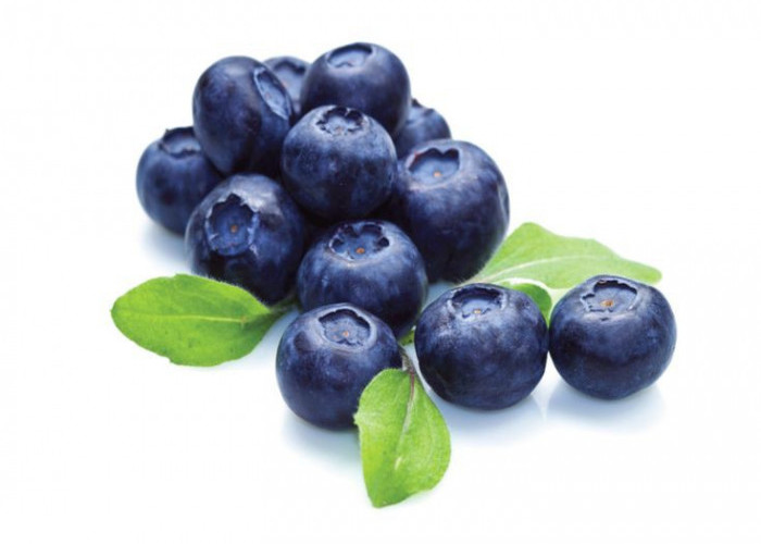 Tambah Suka Buah Blueberry, Ini Lho Mamfaatnya untuk Kesehatan Tubuh yang Jarang Diketahui!